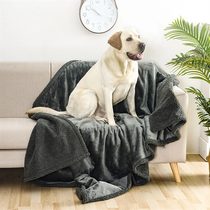 Pet Throw Blanket