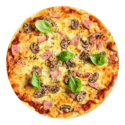 Food Pizza Blanket